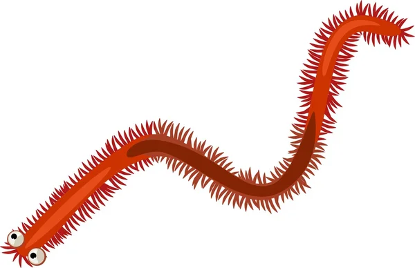 흰색 바탕에 재미 Polychaete — 스톡 벡터