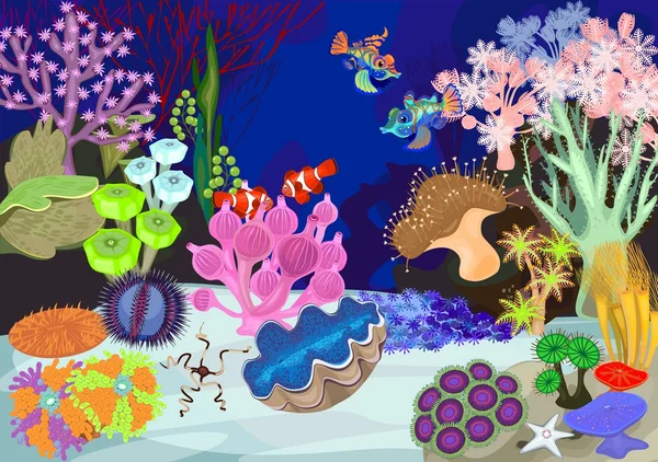 珊瑚礁与软、 硬珊瑚 免版税图库矢量图片