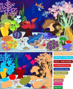 Coral reef with soft and hard corals. Ecosystem. clipart