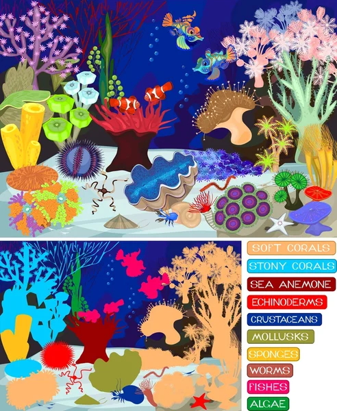 与软、 硬珊瑚的珊瑚礁。生态系统. 图库插图