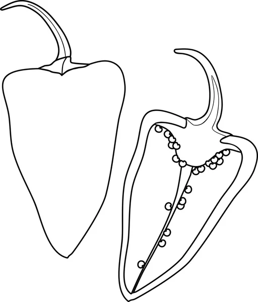 胡椒的彩页 — 图库矢量图片