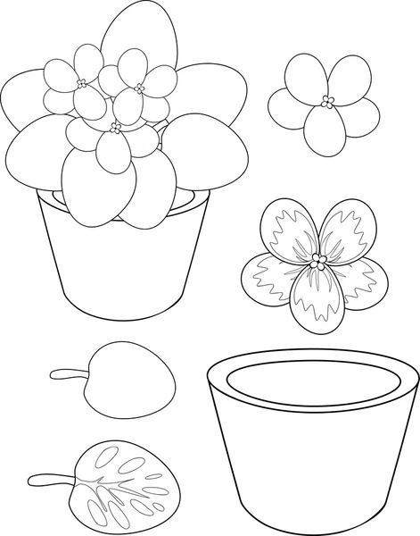 African violet bloem in pot — Stockvector