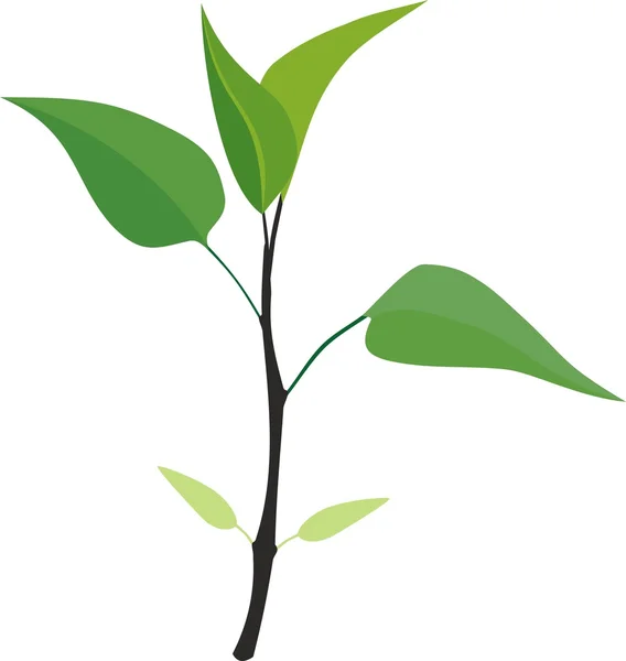 白い背景の上の若い植物 — ストックベクタ