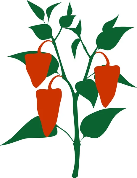 辣椒在植物上。剪影 — 图库矢量图片