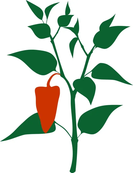 辣椒在植物上。剪影 — 图库矢量图片