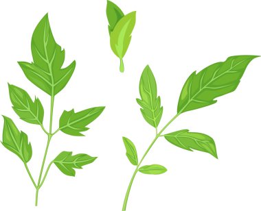 yaprak yeşil ayarla