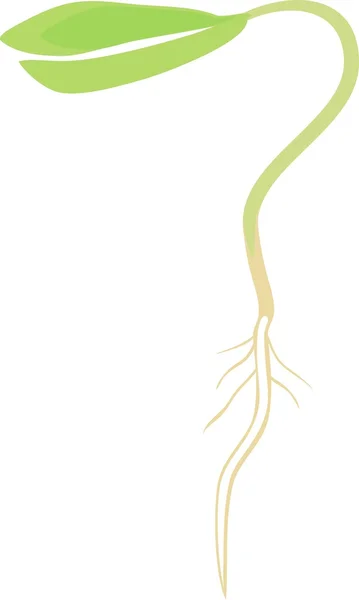 小さな緑の芽 — ストックベクタ