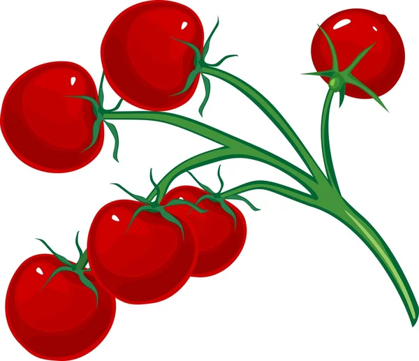 Tomates cherry en la vid — Archivo Imágenes Vectoriales