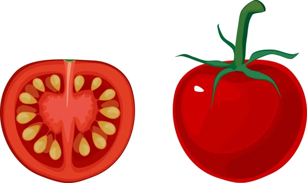 Tomate cereja vermelho — Vetor de Stock