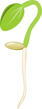 Beyaz arka plan üzerinde Filiz