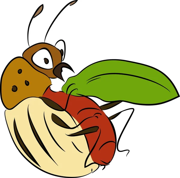 Escarabajo de la patata de Colorado - plaga de cultivos de patata — Vector de stock