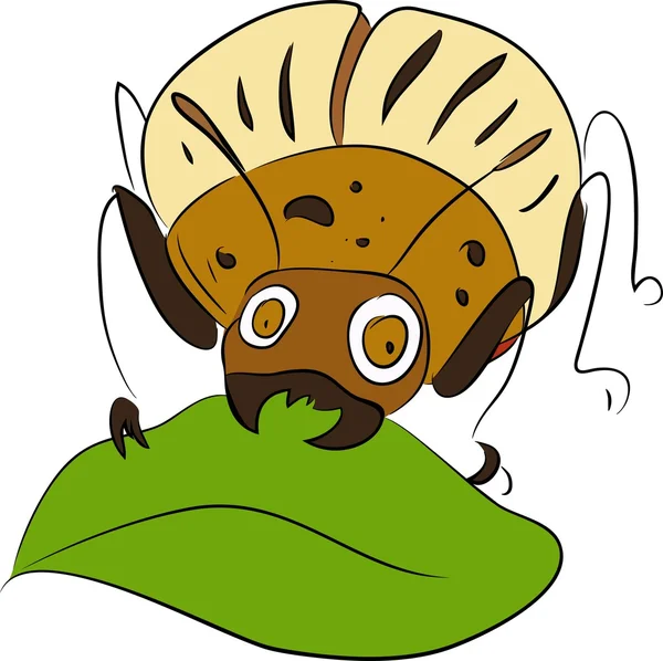 Escarabajo de la patata de Colorado - plaga de cultivos de patata — Archivo Imágenes Vectoriales