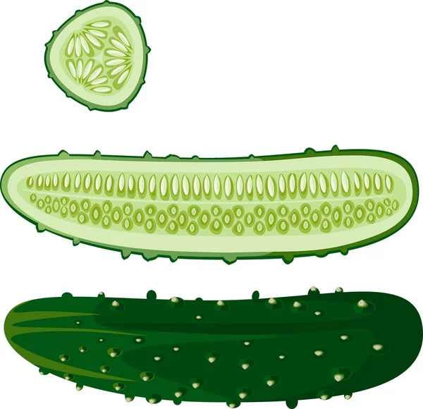 Pepino y rebanada — Vector de stock