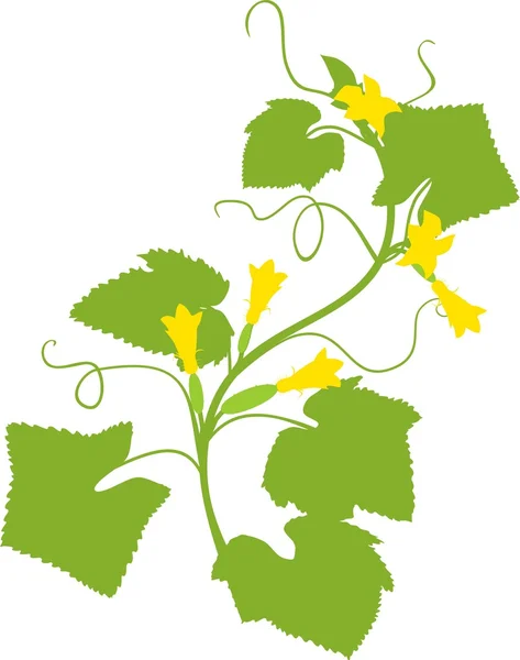 Silhouet van komkommer plant — Stockvector