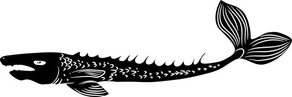 гигантская рыба на белом фоне
