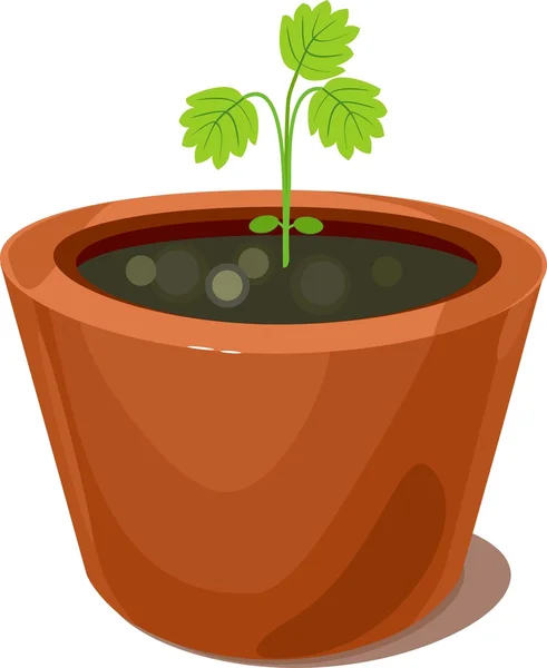 Semis dans des pots de fleurs — Image vectorielle