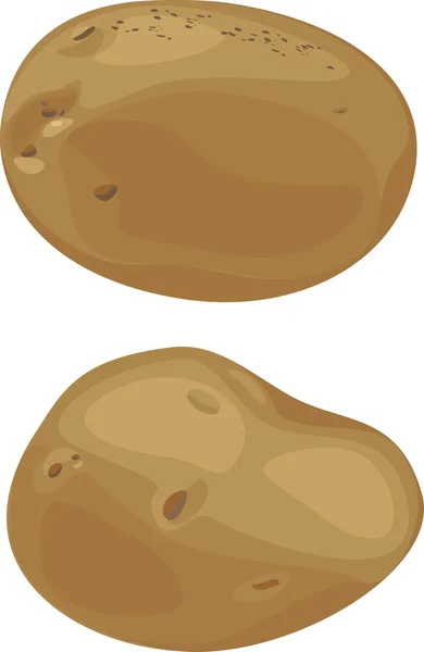 Patatas sobre fondo blanco — Vector de stock