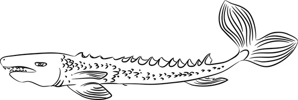Sketch of giant fish — Stock Vector