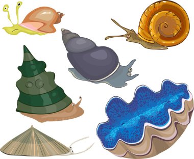 Deniz salyangozları kümesi