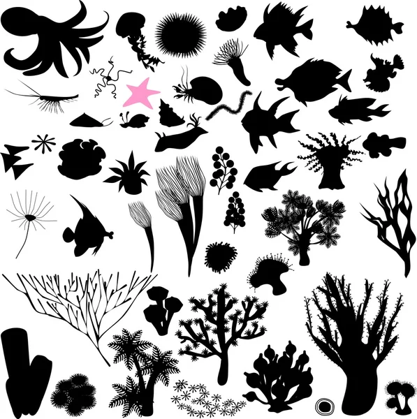 Silhouettes of sea animal — Stock Vector