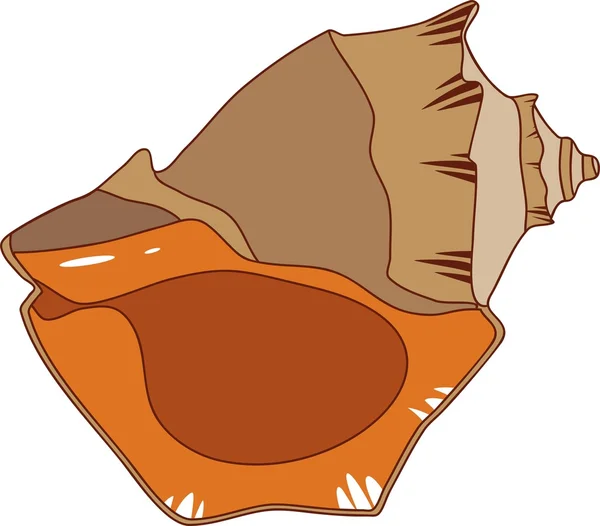 Molusco de concha Rapana — Vector de stock