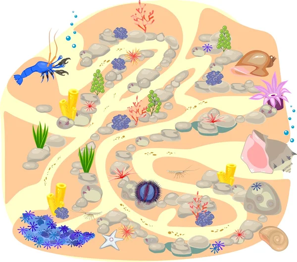 Jogo de labirinto para crianças com caranguejo eremita e concha — Vetor de Stock