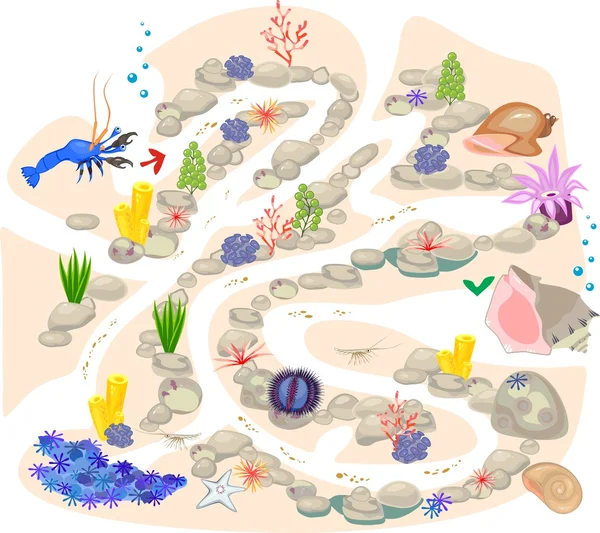 Jogo de labirinto para crianças com caranguejo eremita e concha —  Vetores de Stock