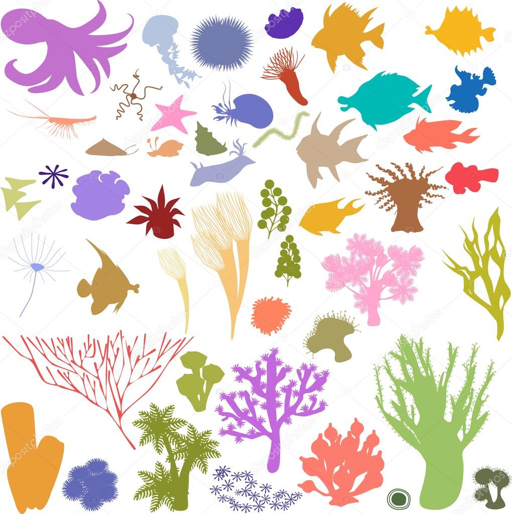 silhouettes of sea animal