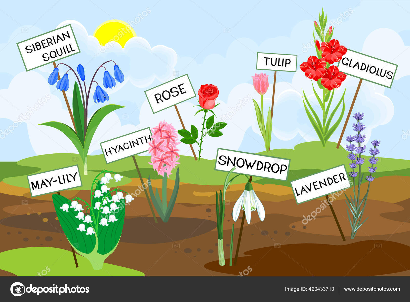 Different Species Garden Flowers Titles Growing Ground Background Spring Landscape Stock Vector