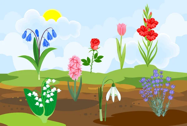 春の風景を背景に地面から成長するさまざまな種類の庭の花 — ストックベクタ