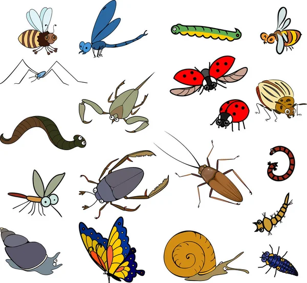 Set of cartoon invertebrate animals (insects, worms and molluscs) isolated on white background