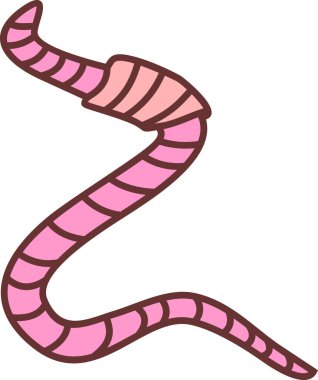  Beyaz arkaplanda izole edilmiş pembe toprak solucanı.