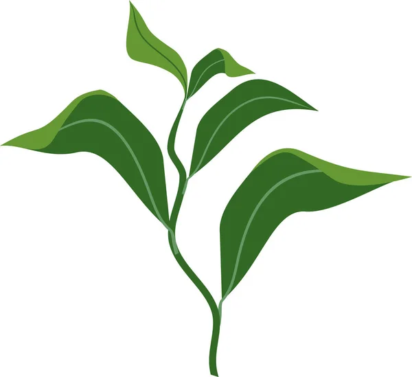 白地に緑色の葉を持つ抽象植物 — ストックベクタ