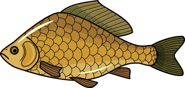 Cartoon Crucian Zoetwatervis Geïsoleerd Witte Achtergrond — Stockvector