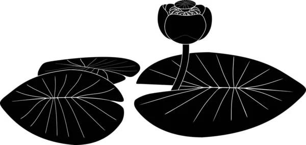 Черный Силуэт Желтой Водяной Лилии Nuphar Lutea Растение Листьями Цветами — стоковый вектор