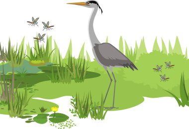  Gri balıkçıl (Ardea cinerea), uçan sivrisinekler ve yeşil bitkilerle soyut bataklık manzarası