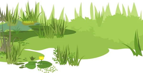 緑の植物と概要沼の風景 — ストックベクタ