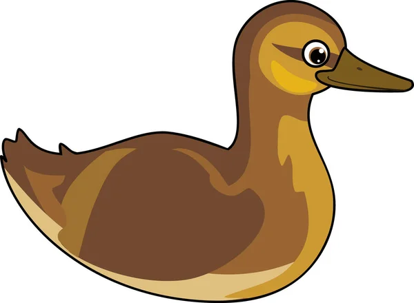 Desenhos Animados Juvenil Pato Mallard Selvagem Anas Platyrhynchos Flutuar Isolado — Vetor de Stock