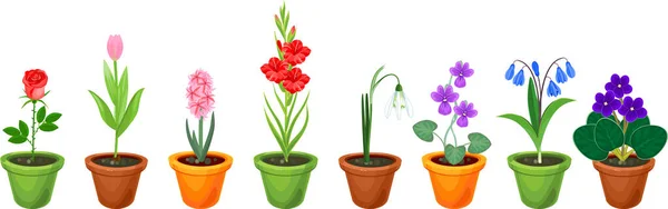 Set Different Species Garden Flowers Flowerpots Isolated White Background — Stock Vector