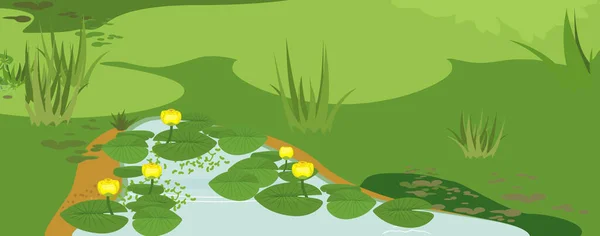 Abstraktní Bažinatá Krajina Rybníkem Zarostlým Kvetoucími Žlutými Lekníny Nuphar Lutea — Stockový vektor