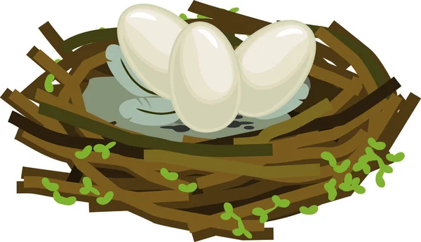 Nido Aves Dibujos Animados Con Huevos Aislados Sobre Fondo Blanco — Archivo Imágenes Vectoriales