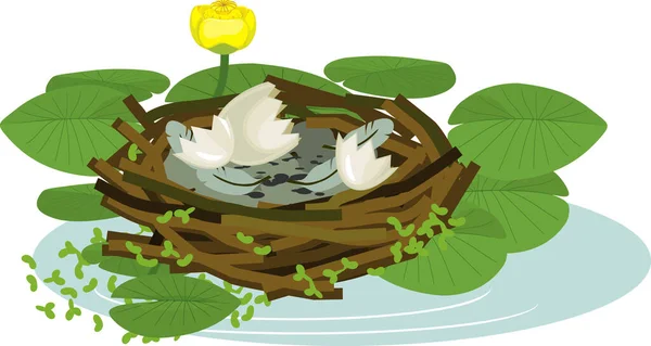 Empty bird nest Vector Art Stock Images | Depositphotos Empty bird nest Vector Art Stock Images | Depositphotos