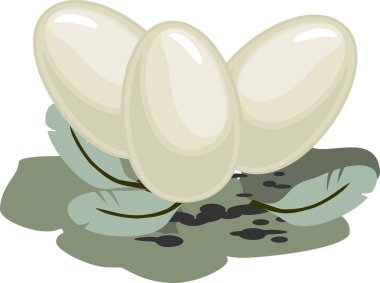  Beyaz arka planda izole edilmiş üç soyut beyaz kuş yumurtası.