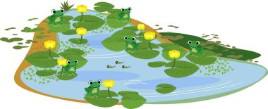Çizgi film kurbağaları ve kurbağa yavrularıyla dolu bir gölet. Yeşil yapraklı sarı zambak (Nuphar lutea) ile kaplanmış gölet.