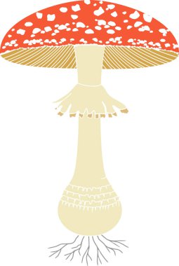 Beyaz arkaplanda izole edilmiş mantar (Amanita muscaria) mantarı