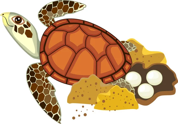 Tecknad Havssköldpadda Som Lägger Ägg Sand — Stock vektor