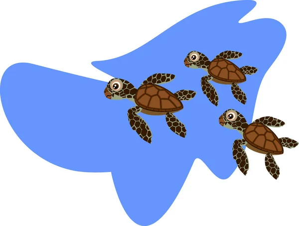 Tres Tortugas Marinas Juveniles Nadando Dibujos Animados — Vector de stock