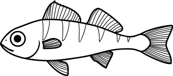 Coloring Page Juvenile Perch Perca Fluviatilis Freshwater Fish Isolated White — Archivo Imágenes Vectoriales