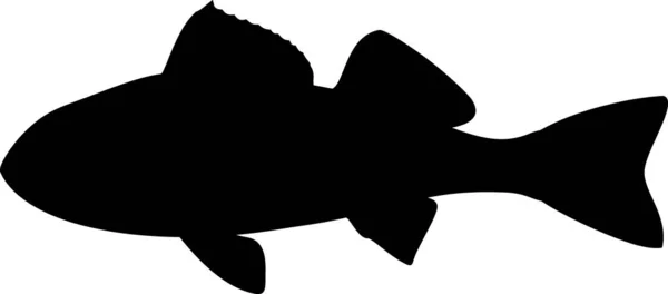 Perca Fluviatilis 淡水鱼黑色侧写 — 图库矢量图片