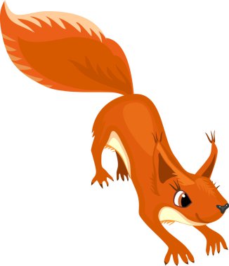 Çizgi film kırmızı sincabı beyaz arkaplanda izole edildi